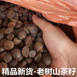 天然农家山茶籽油茶籽榨油原料自榨山茶子果茶枯茶籽粉带壳油料