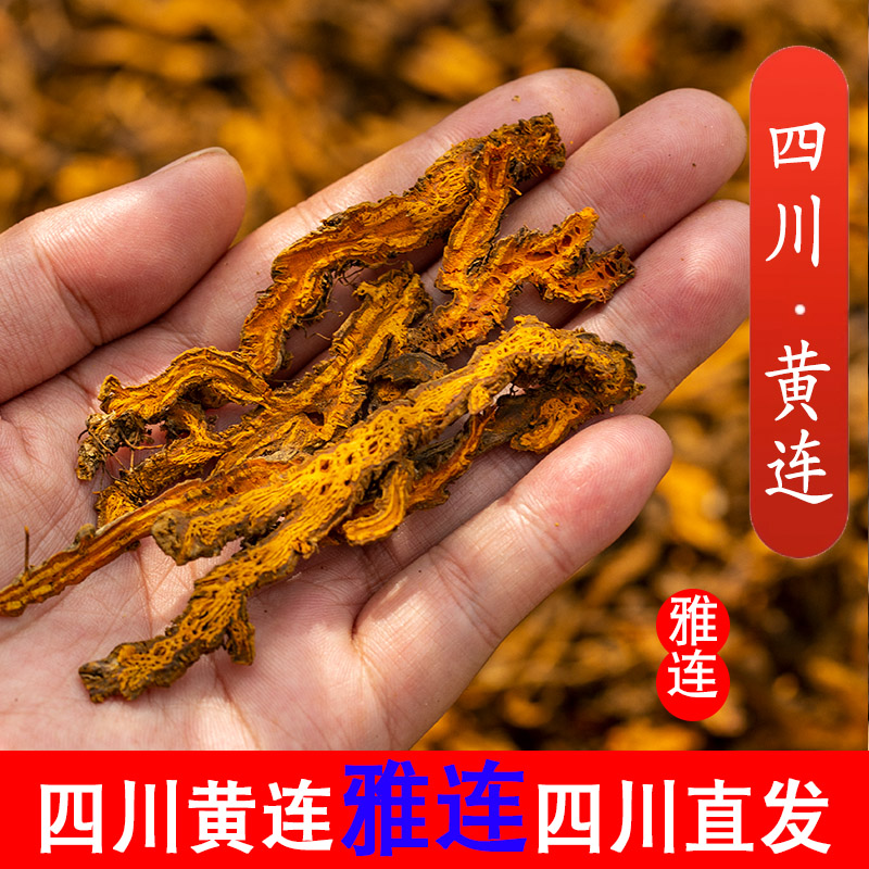 四川直发新货正品川黄连中药材中药黄连片鸡爪打粉泡水无硫100克