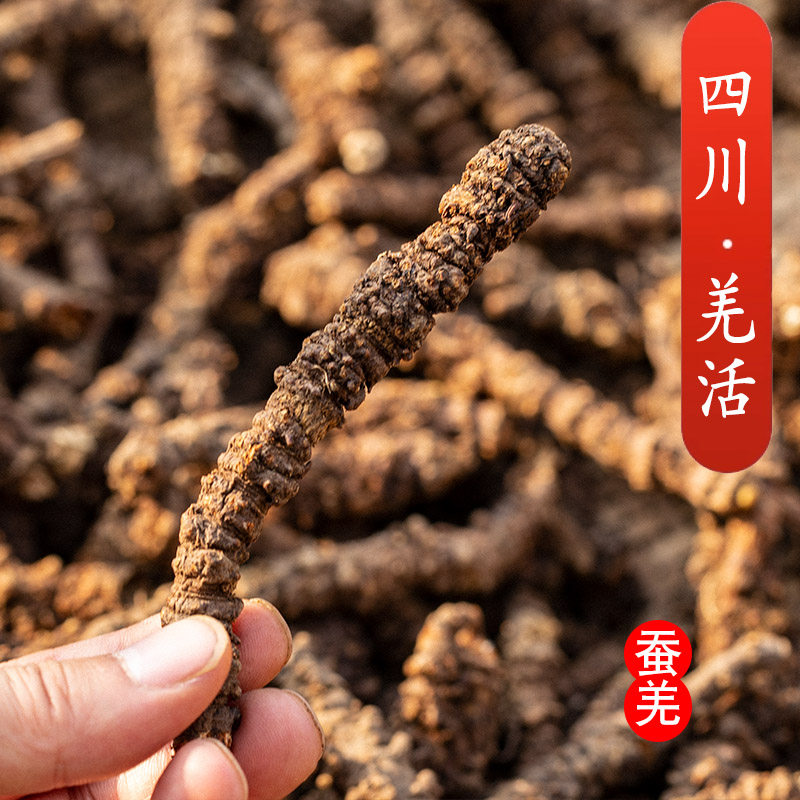 四川直发羌活中药材正品 蚕羌活 无硫川羌活100克 可搭独活可打粉