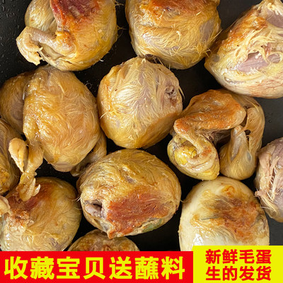 全鸡毛鸡蛋鸡胚蛋新鲜毛蛋喜蛋旺鸡蛋凤凰蛋毛蛋生的批发18-21天