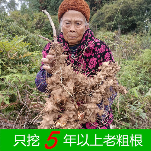 金刚藤广西泡酒广东煲汤药材汤料