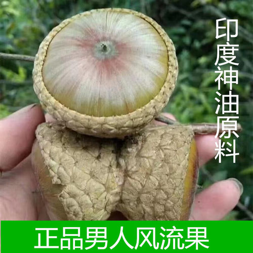 500广西风流果石头果深山滋补