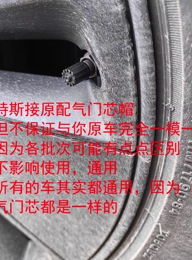 适用于特斯拉汽车轮胎气门嘴帽ModelS ModelX Model3ModelY气嘴盖