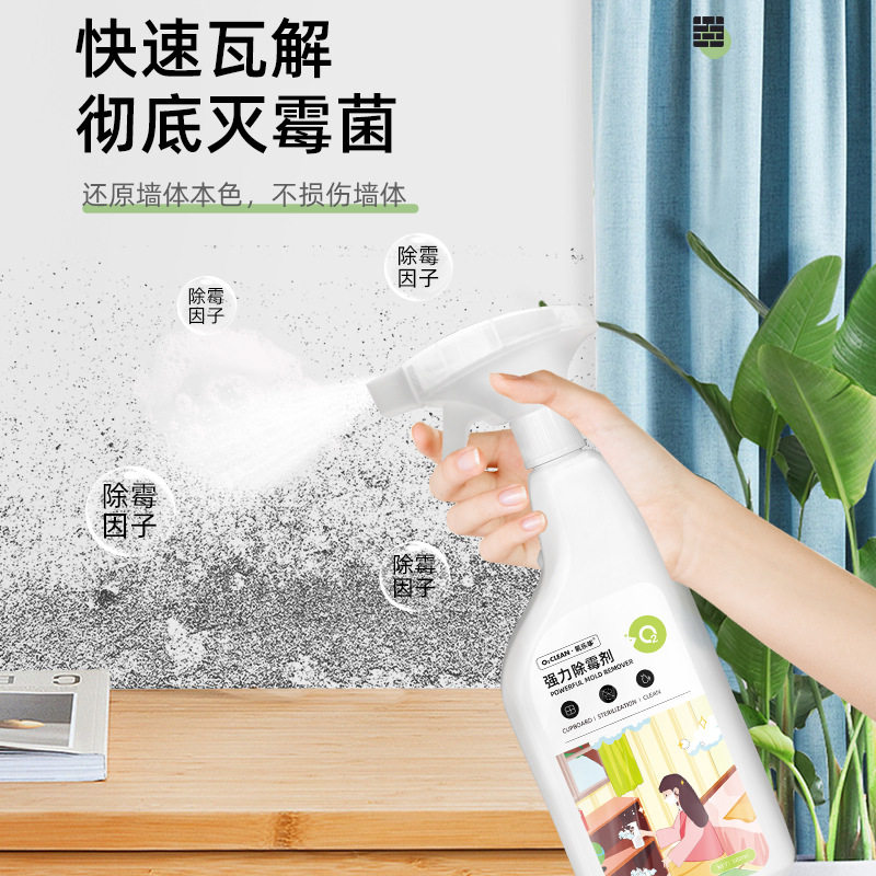 ��ù��ǽ���ù����ù����ǽ���ù����ù���ȥù�߷�ùù������