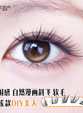 格子数DIY美人单簇自然款假睫毛