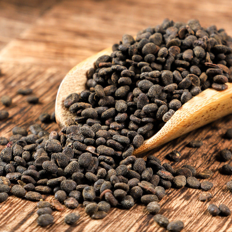 补骨脂正品补骨脂中药野采破故纸婆黑故子搭续断黄精韭菜籽茯苓