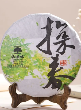 探春 古茶林古树头春茶 普洱生茶 357克饼茶 鲜甜香扬