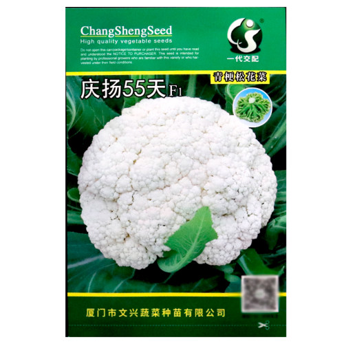 庆扬55天青梗松花菜种子