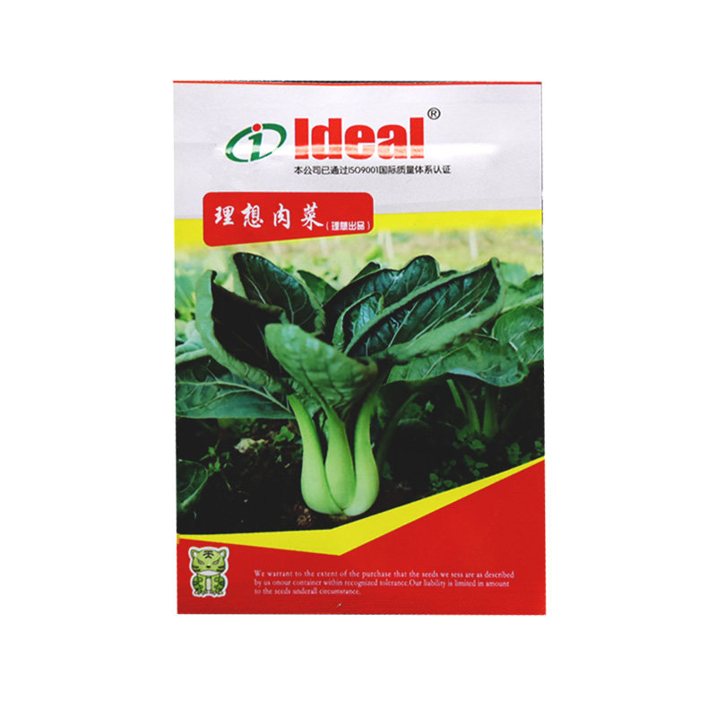 理想肉菜种子厚肉青菜种籽