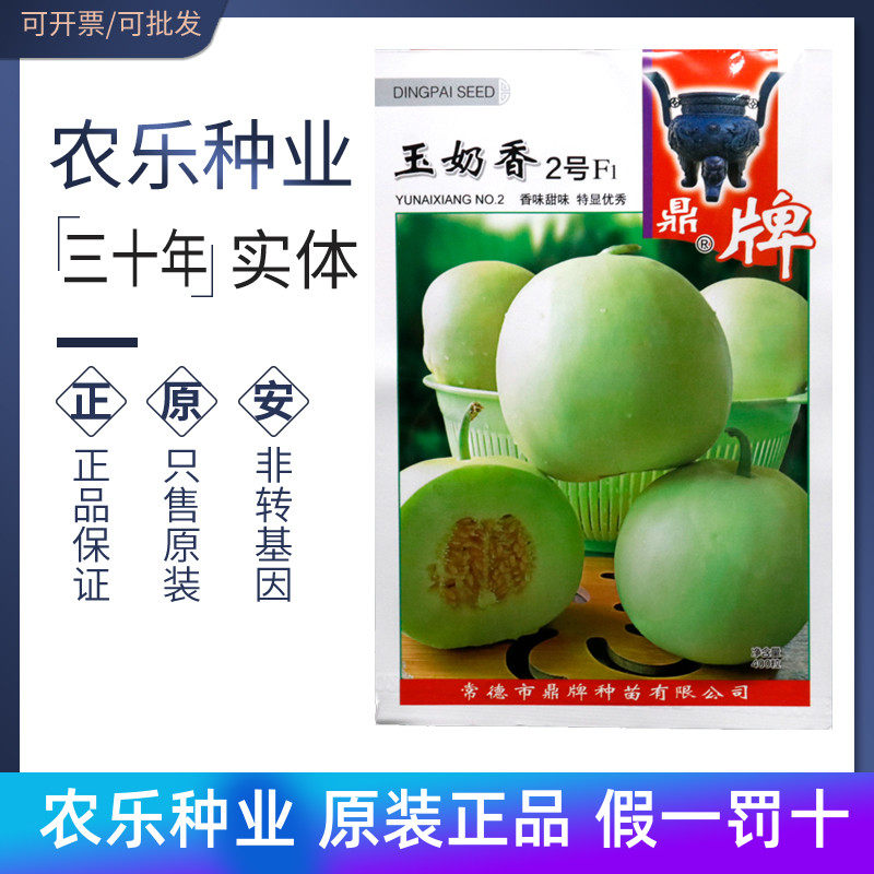 鼎牌玉奶香2号f1甜瓜种子早熟杂交甜瓜籽皮薄味香甜度高