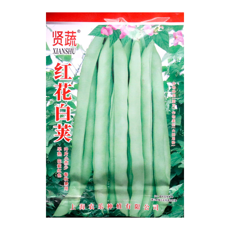 红花白荚架豆种子白荚四季豆种籽搭架四季豆蔓生菜豆绿白色刀豆籽