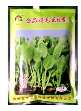 金品鸡毛菜6号种籽鸡毛菜种子速生全年播种 包邮