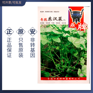 鼎牌青脆东汉菜种子冬寒菜种籽冬苋菜籽冬葵菜