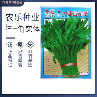 竹叶空心菜种子 中叶空心菜种籽 竹叶空心菜籽蕹菜种子