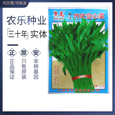 竹叶空心菜种子竹叶空心菜籽