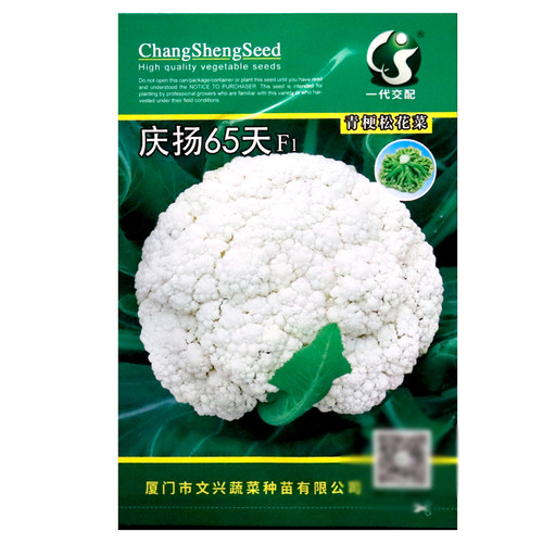庆扬65天青梗松花菜种子早熟杂交有机花菜种籽散花菜籽