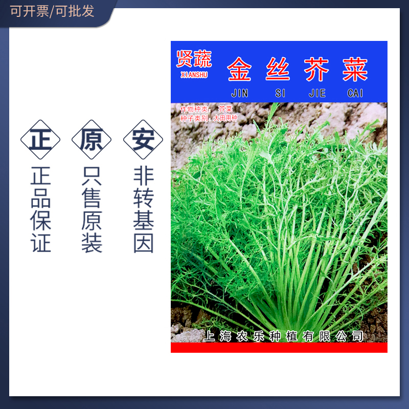 金丝芥菜种子腌制咸菜