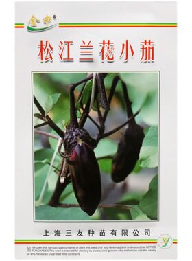 一口茄子种子松江兰花小茄子种籽拇指茄籽迷你茄幼茄好吃