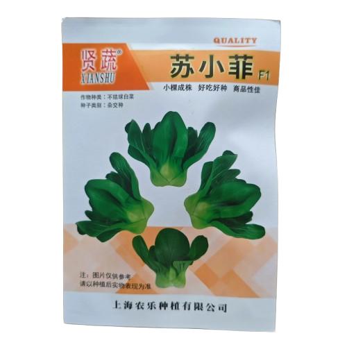 苏小菲青菜种子小棵青菜种籽