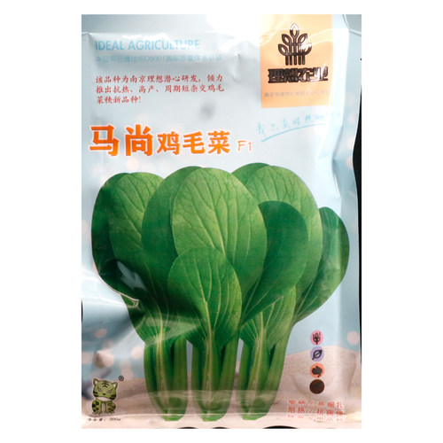 理想马尚鸡毛菜种子小青菜种籽耐热速生叶柄绿整齐四季播