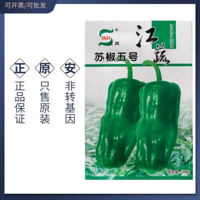 江蔬苏椒五号椒种子薄皮椒
