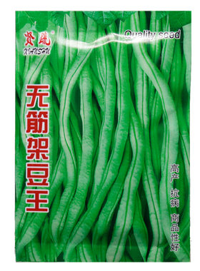 无筋架豆王种子种籽 架豆种子菜豆籽圆棍鲜绿刀豆籽