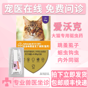 爱沃克成猫体内+体外驱虫药猫咪灭跳蚤耳螨蛔虫线虫驱虫滴剂 整盒
