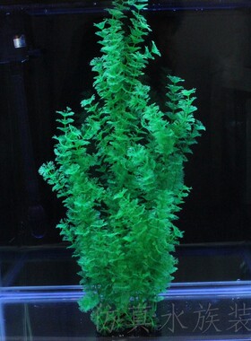 包邮仿真大号水草鱼缸水族装饰品造景摆件塑料假水草60CM