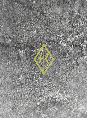 SC.IRREGULARS 铭文贴纸