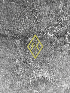 SC.IRREGULARS 铭文贴纸