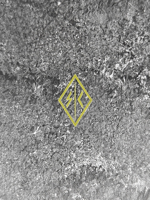 SC.IRREGULARS 铭文贴纸