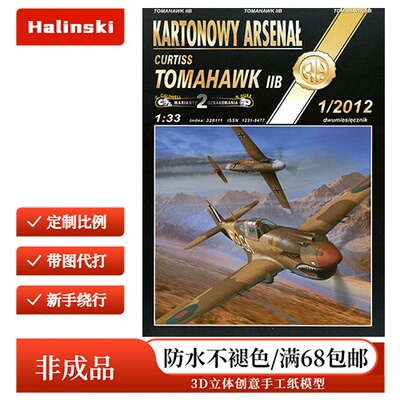 Halinski KA 2012-01 - Curtiss Tomahawk IIB