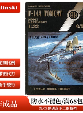 Halinski MK 1992-06 - F14 Tomcat