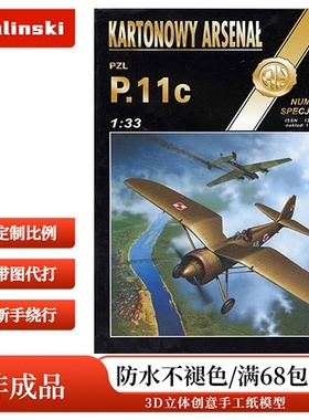 Halinski KA 2005-Sp - PZL P.11C