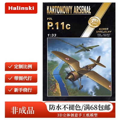 Halinski KA 2005-Sp - PZL P.11C