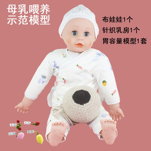 母乳喂养指导示范教学模型 婴儿布娃娃/针织毛线乳房/胃容量模型