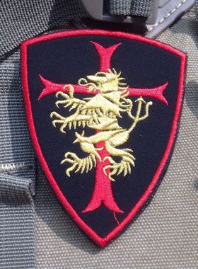 美军海豹突击队第6分队臂章黄金分队3D刺绣战术魔术贴臂章红黑色