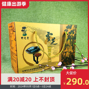 安徽养生道灵芝孢子粉500g一等品礼盒野芝堂灵芝粉24年2月新日期