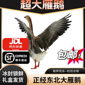 查干湖周边农村散养大雁鹅现杀冷冻6-10斤整只雁鹅送礼非鹅鸭