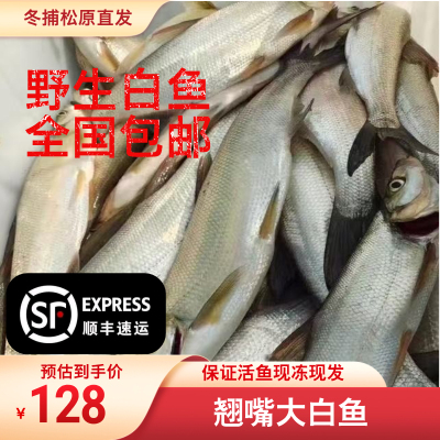 吉林松原冬捕鱼礼盒装5斤－10斤白鱼查干湖吉林松原市查干湖鱼包
