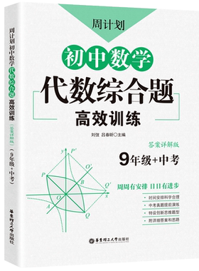 中考初中数学代数综合题