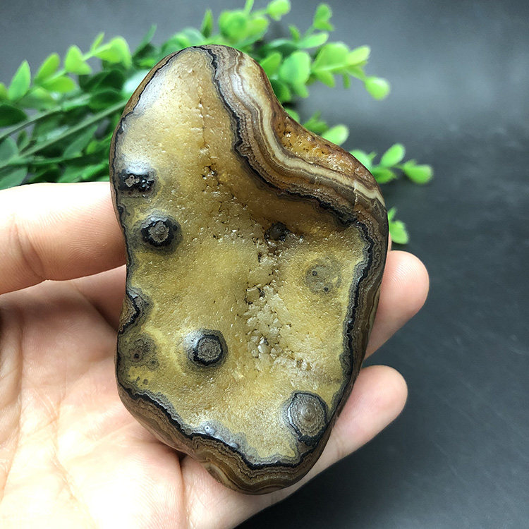 马达加斯加冰彩玛瑙花纹籽料象形天然马料收藏石头原石手把件2249