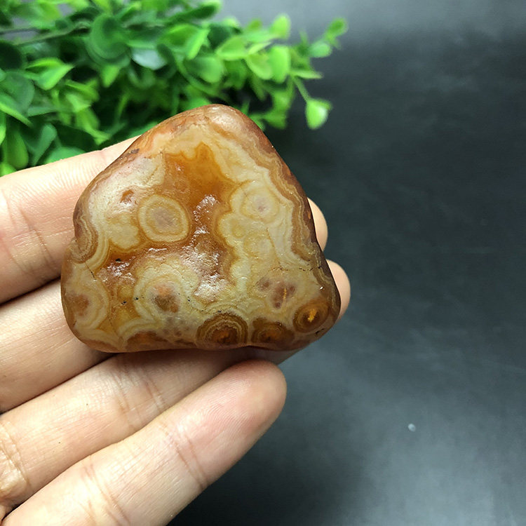 马达加斯加花纹籽料冰彩玛瑙天然马料象形原石石头手把件收藏1998