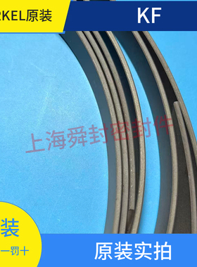 KF导向环200*195*19.8MERKEL原装四氟铜 粉导向环
