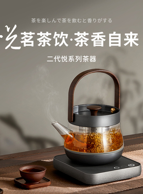 智蔚耐热玻璃600ml电热水壶