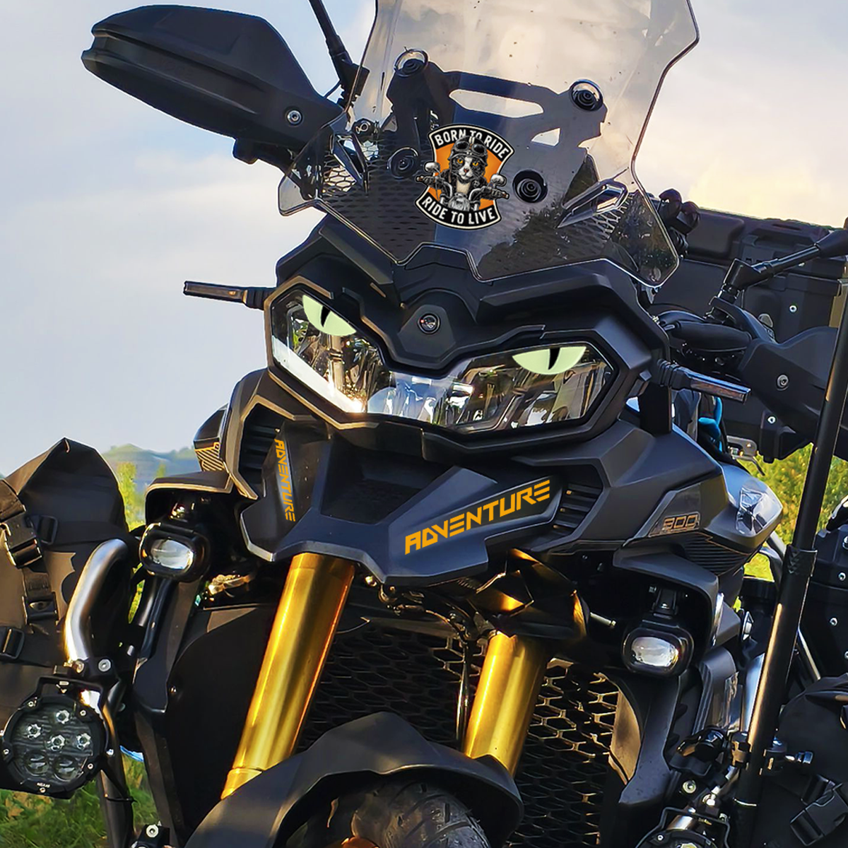 适用无极DS900X改装饰贴纸油箱贴