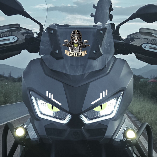 适用赛科龙RT250/RT150S装饰贴纸
