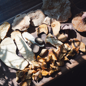 冻干保鲜 鲜美煲汤 云南菌组合炖汤 云南冻干菌汤煲 南拾壹