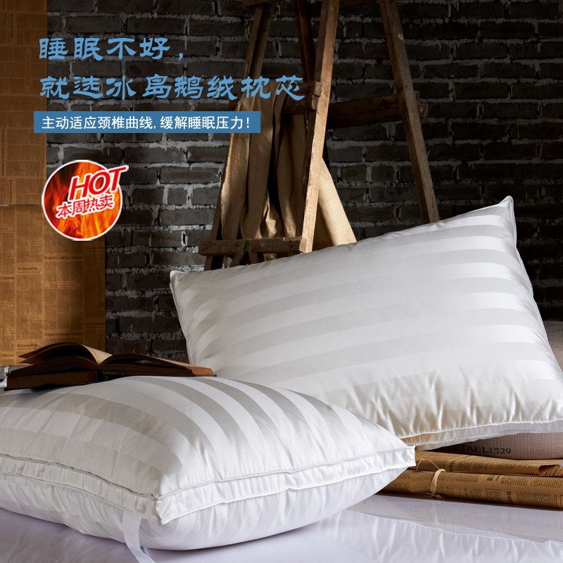 95白鹅绒枕头枕芯五星级酒店真丝桑蚕丝羽绒枕成人单人护颈枕一对