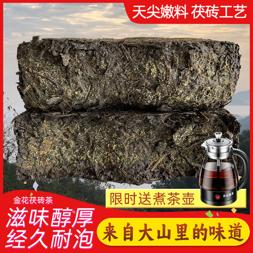 黑茶湖南安化安华金花茯砖茶